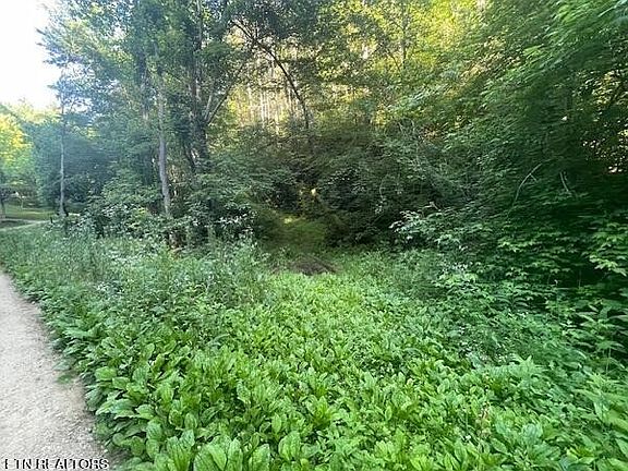 5th image of 10 Newcombe Branch Way Lot 10