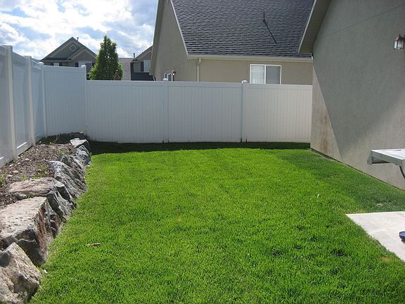 Great back yard