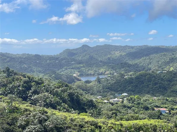 State Highway 518 #Km100, Adjuntas, PR 00601