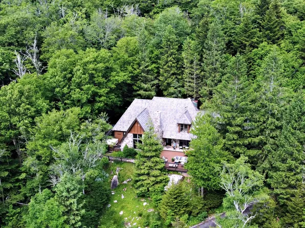 321 N West Ridge Rd, Snowshoe, WV 26209
