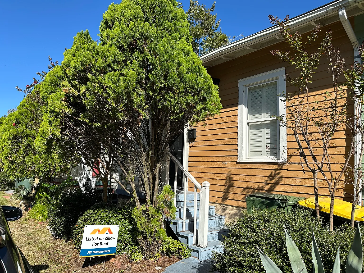 1 bed, 600 sqft, $1,250 — Photo 1