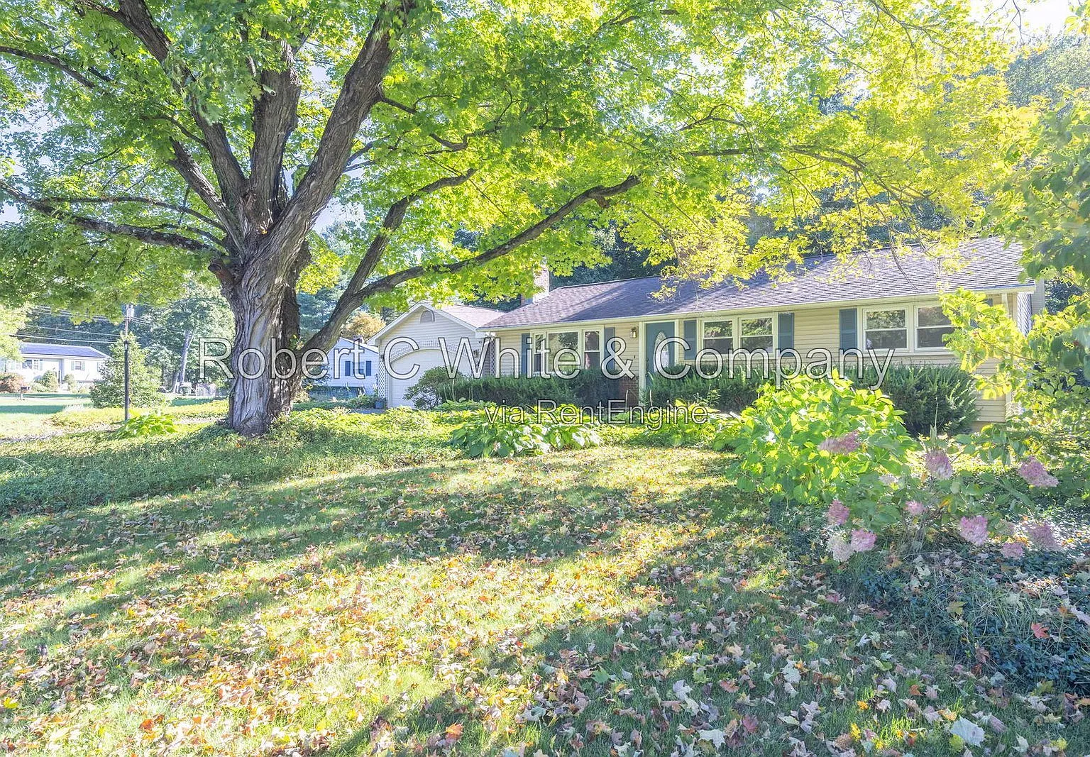 3 bed, 1.5 bath, 1296 sqft, $2,490 — Photo 2