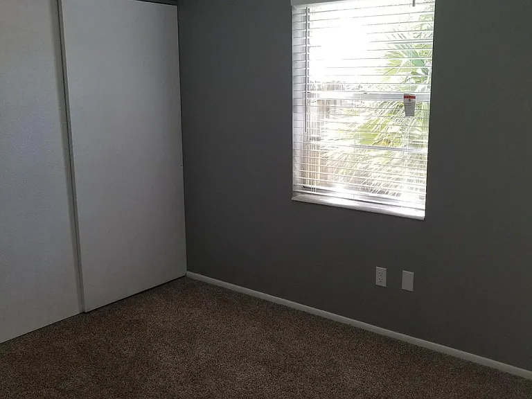 3209 W Lutz Lake Fern Rd — Photo 21