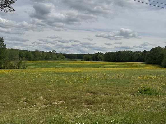 3rd image of 0 Taylor Cemetery Rd