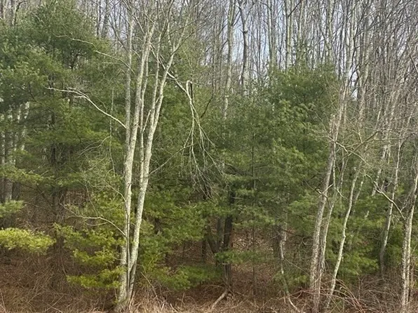 65 Birch Hill Rd, West Brookfield, MA 01585