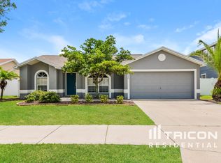 10546 Carloway Hills Dr, Wimauma, FL 33598