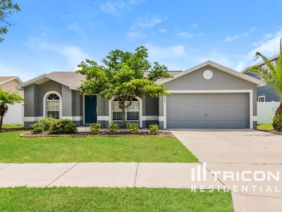 10546 Carloway Hills Dr, Wimauma, FL, 33598
