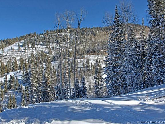 3rd image of 164 White Pine Canyon Rd Lot 164