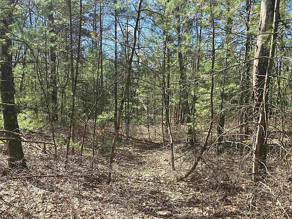 5th image of 4699 Johnson Rd