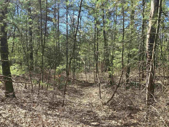 4699 Johnson Rd, Oscoda, MI 48750