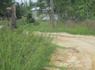 4234 River Rd, Sneads, FL 32460