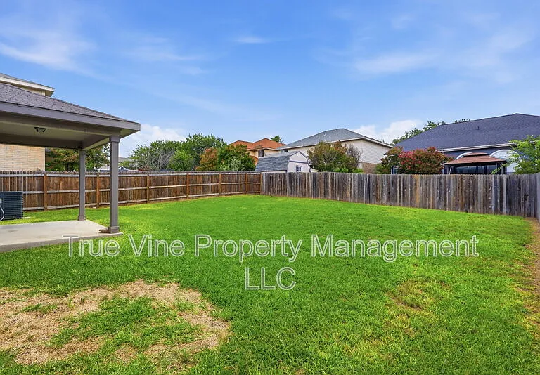 136 Texas Mulberry — Photo 25