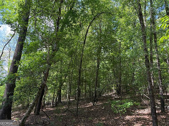 5th image of 7 Long Branch Rd