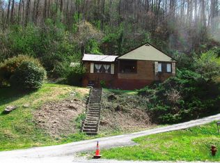 4646 Coal Heritage Rd, Iaeger, WV 24844