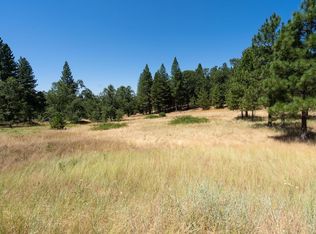 25755 State Highway 88, Pioneer, CA 95666