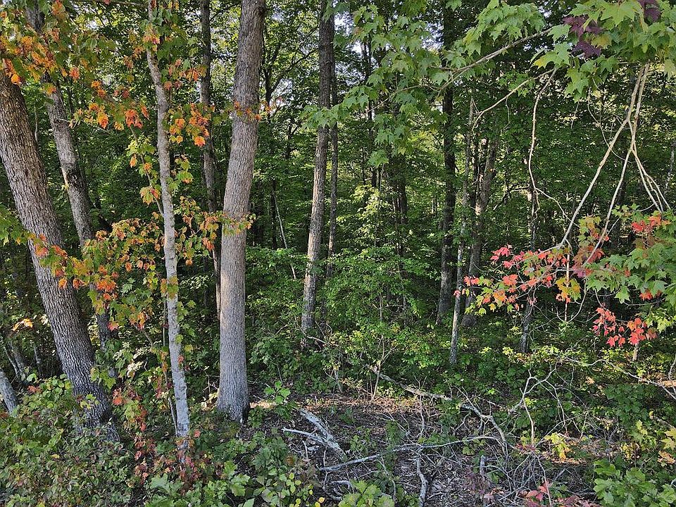 3 Cumberland Cove Rd, Monterey, TN 38574 Zillow