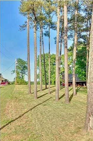 2nd image of 716 Bluff Dr