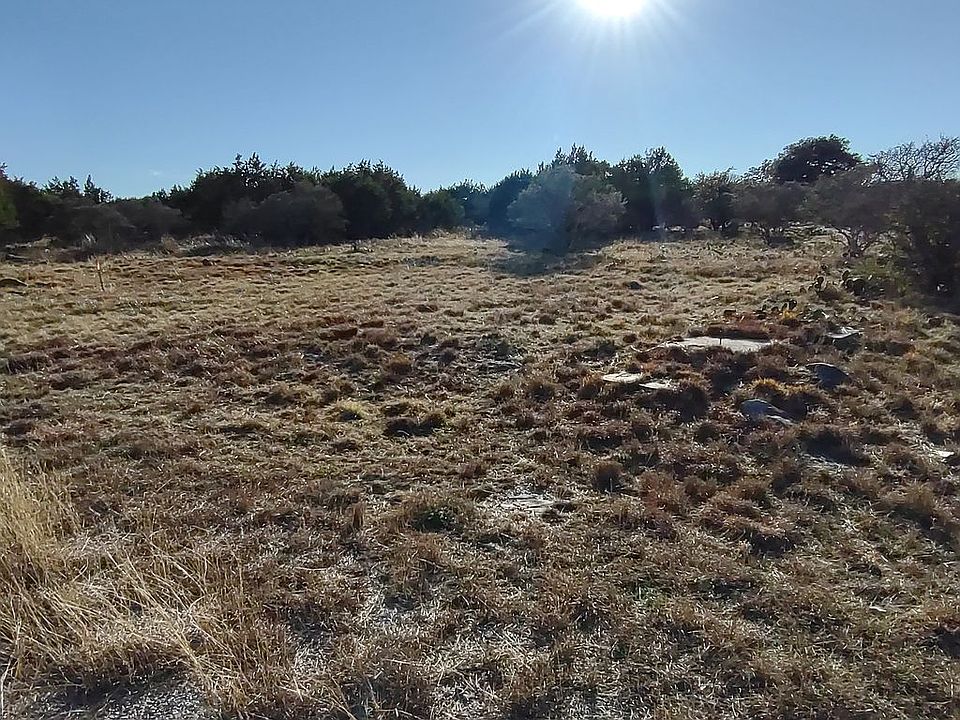 2nd image of Stag