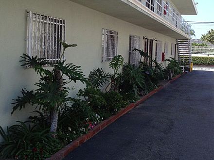 5th image of 915 N Wilmington Blvd APT 02