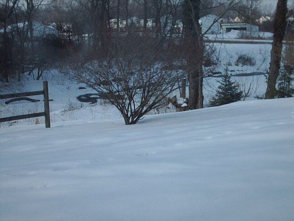 3rd image of 1193 Hillcrest Dr