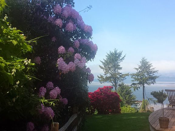 Flowers everywhere in Spring