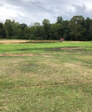 Stocked catfish pond