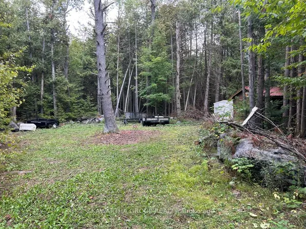 176 Base Line Rd, Kawartha Lakes, ON K0M 1K0