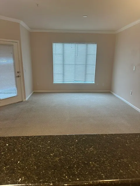 1 bed, 815 sqft, $1,350 — Photo 3