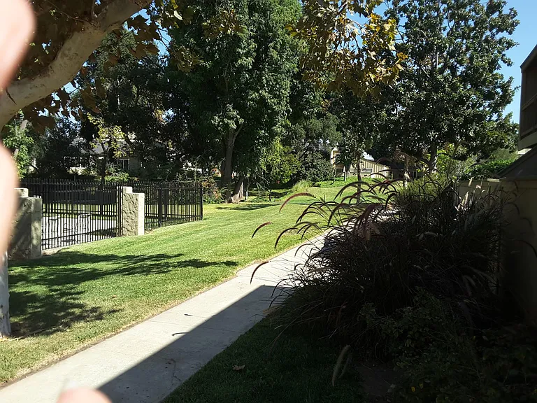 1471 Cypress St — Photo 4