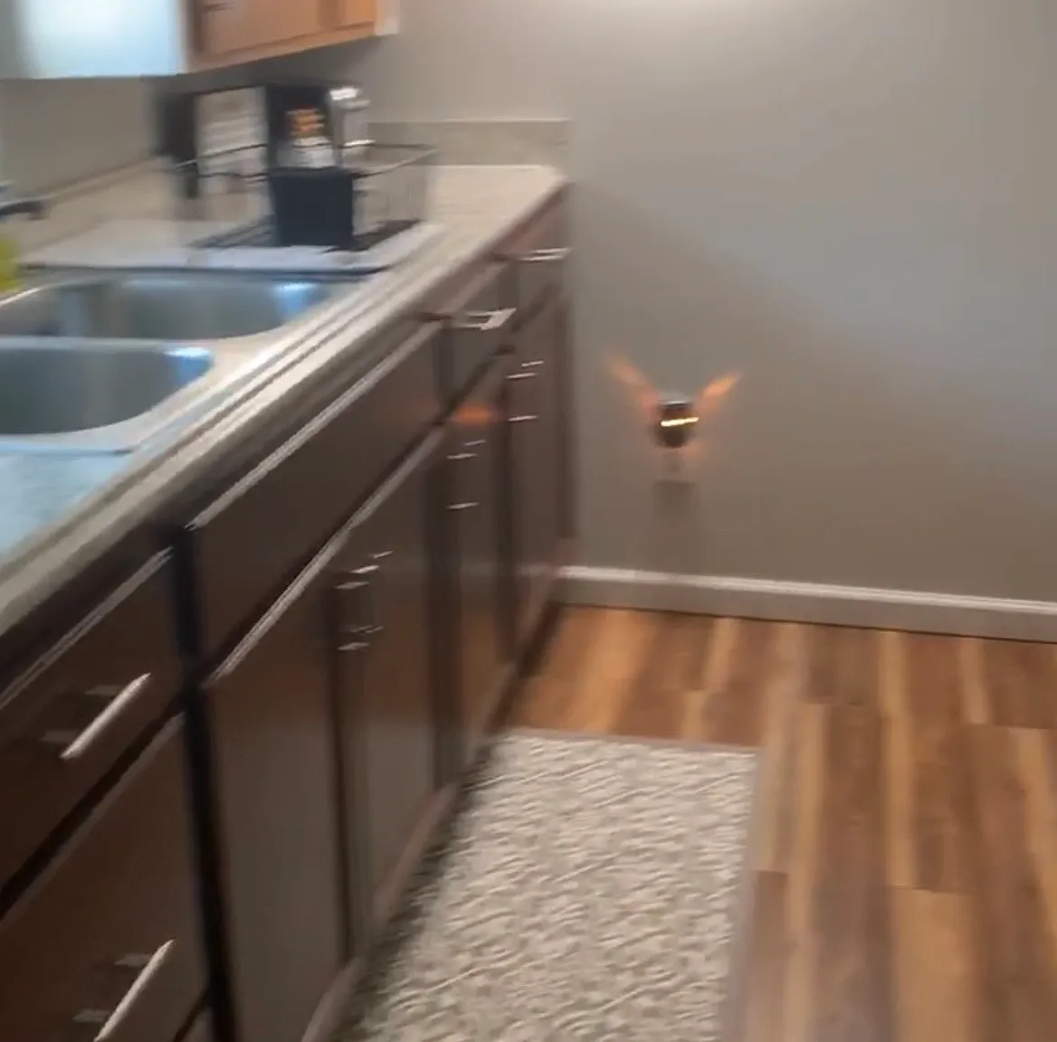 1 bed, $1,100 — Photo 2