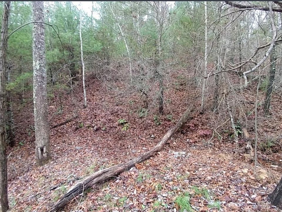 1st image of Lone Ridge Dr