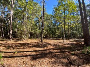 11196 Newton Cir, Conroe, TX 77303