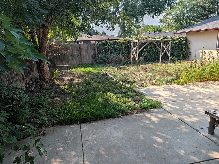 back yard with vegie garden and apple tree