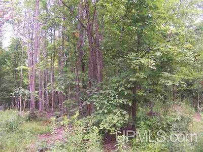 Tbd M95, Iron Mountain, MI, 49801