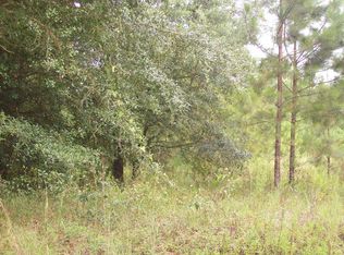 Tbd 160th Trce, McAlpin, FL 32062