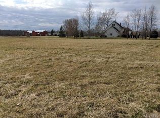 4038 Andrews Rd, Ransomville, NY 14131