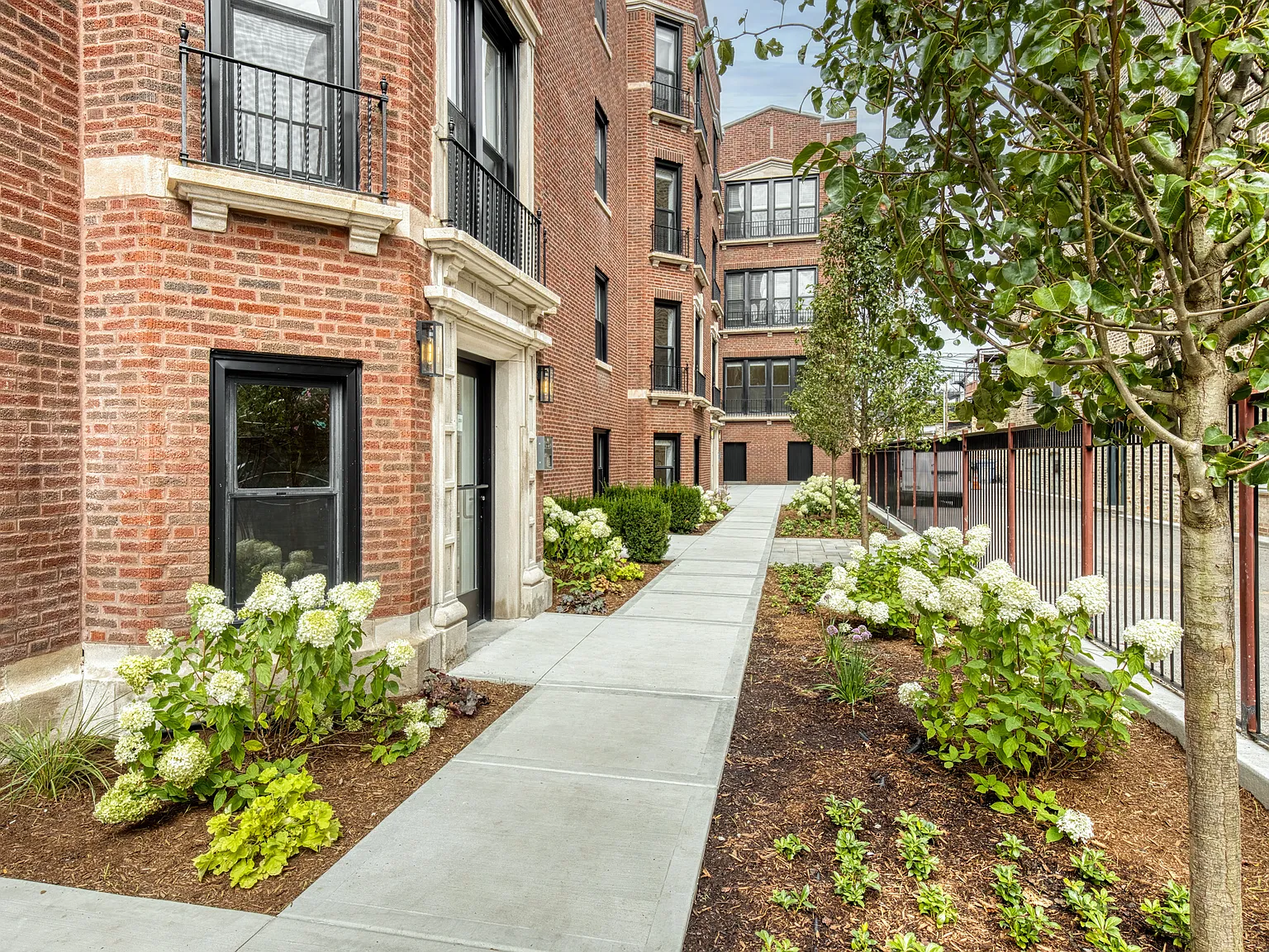 1248-1252 W Addison St - 1250 1A — Photo 2