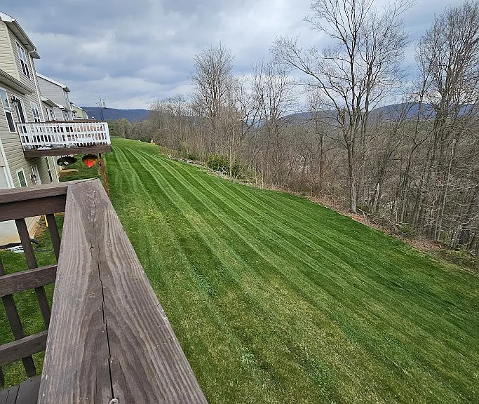 213 Jonathan Ln #1 — Photo 14