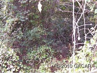 2nd image of 2490 SE 31st St