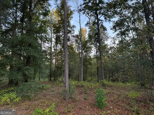 0 Hillbridge Rd, Dublin, GA 31021