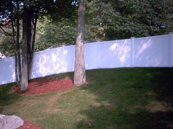 Back Yard 2
