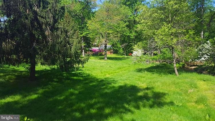 1st image of 11616 Pine Tree Dr