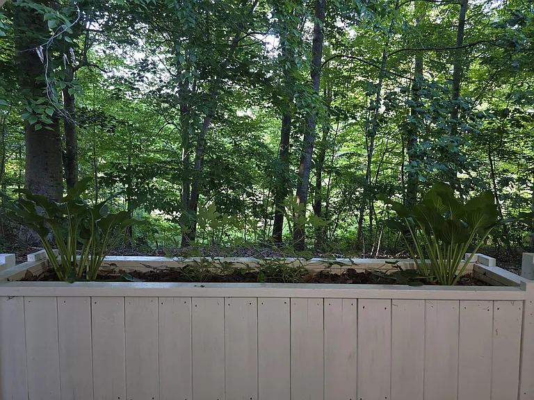 319 Silverberry Ct — Photo 11