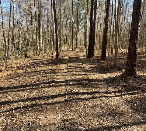 2nd image of 15 Hope Plantation Ln