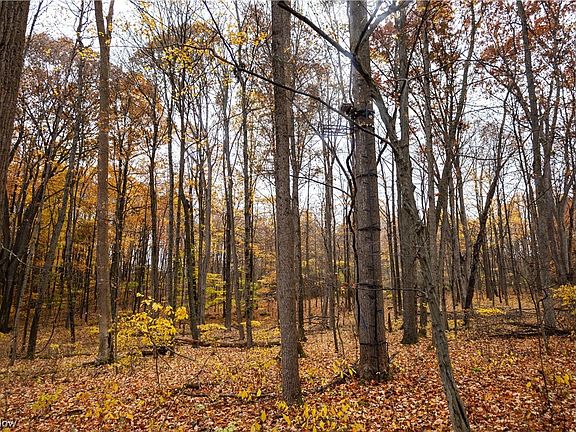 4th image of 9250 Township Road 79