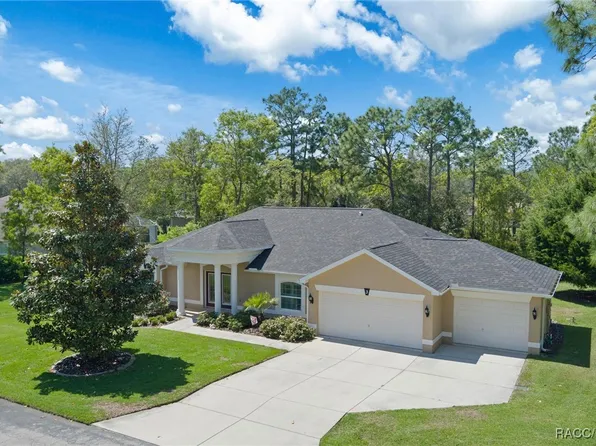 3 Stokesia Ct N, Homosassa, FL 34446