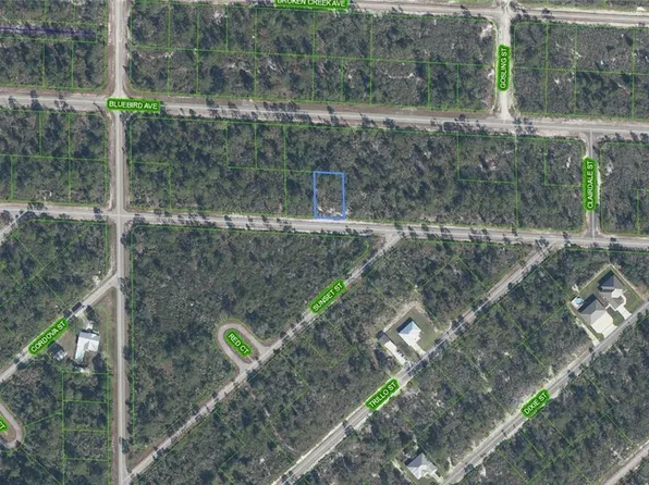 3449 Plover Ave, Lake Placid, FL 33852
