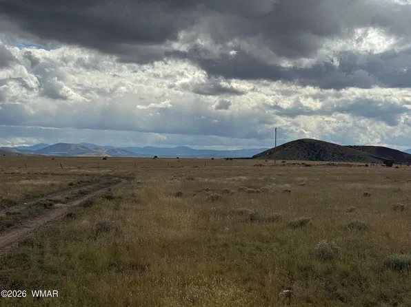 255 Willow Ln, Concho, AZ 85924