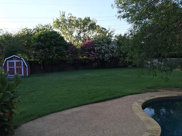 Backyard view
