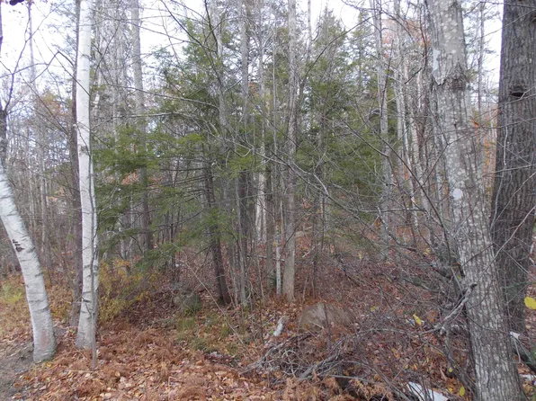 Lot 49 Mittenwald Strasse Road, Bartlett, NH 03812